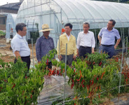 농협상호금융, 폭염피해 현장점검 나서