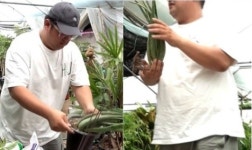 전참시 신현준 매니저, 아이유와 같은 모자 다른 느낌?