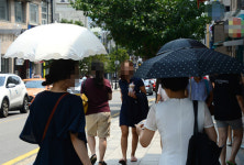 [김기자의 현장+] 보행로를 점령한 양산 테러(?)부대..눈 찌름 주의보 제발 앞 좀 보세요