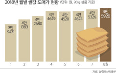 간편식·도시락 덕에… 쌀 소비 살아난다