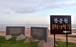[여행] 한장 한장 책장을 넘기 듯… 큰산 굽어보다