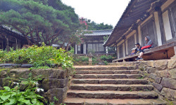 내 안의 ‘고요’를 만나다 [안동戀歌]