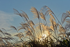 [여행] 서성이는 가을, 노을에 물들다