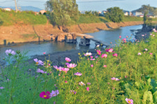 [여행] 서성이는 가을, 노을에 물들다