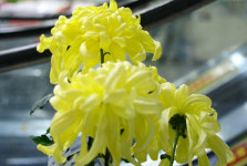 강서구 PC방 추모 물결…하늘에서 행복하시길 [사진in세상]