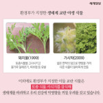 [카드뉴스] 인스타 성지 점령한 핑크뮬리가 생태계 교란한다고?