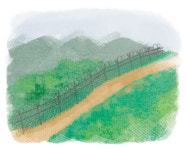 [설왕설래] DMZ 도보여행길
