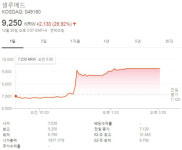셀루메드 무릎연골 대체제 식약처 승인 소식에 주가 29%↑