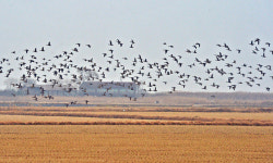 [여행] 동이 터 오른다… 다시 시작이다