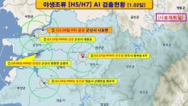 전북 군산 금강 야생조류 분변서 AI 항원 검출 차단방역 강화