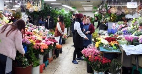 [포토] 경기 한파로 화훼시장 썰렁