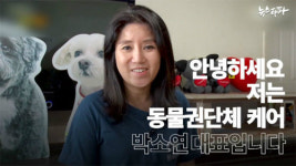 다른 동물단체들, 케어 박소연 대표 내주 검찰 고발 예정…동물보호법 위반 등