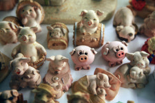 여행도 하고 복도 받고… 가족·연인과 돼지투어 어때요?