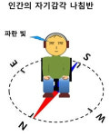 인간도 철새처럼 나침반 없이 북쪽 찾을 수 있다…채권석 교수팀 자기감각 실험 결과