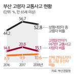 빨간불 켜진 ‘어르신 교통안전 확보’ 팔 걷다