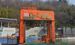 [여행] 벚꽃 톡톡… 퍼뜩 온나