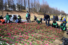 [동영상] 서초구, 양재천 수변무대 산책로 대청소 실시