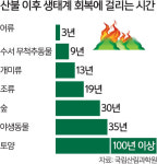 화마에 동식물도 ‘초토화’…숲 복구에만 20∼30년