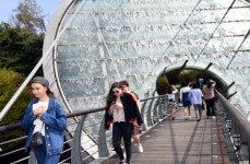 [포토] 서초구 아쿠아아트육교 가동 시작