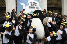 세계 펭귄의 날… “생존위기 남극펭귄 지켜주세요” [포토]