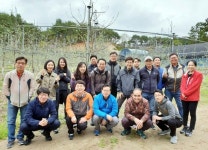 농협안심축산, 영농 철‘사과 적화작업’도와