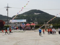 “청군 이겨라, 백군 이겨라!”…어느 섬마을 초등학교의 운동회 