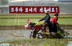 시시껄렁한 물물거래…北 매체, 식량지원에 냉소
