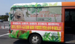 제주 ‘렌터카 총량제’ 반기 든 대형업체들