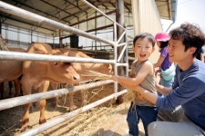 한우자조금, ‘2019 한우 캠핑 페스티벌’ 성황리에 개최