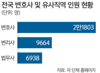 똘똘 뭉친 변호사, 세무·변리사와 ‘밥그릇 싸움’ 잇단 승소