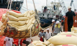 1270억원 상당 대북 쌀지원 5만t 어떻게 운송되나