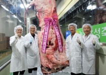 농협사료, 역대 초대형 슈퍼한우 출하