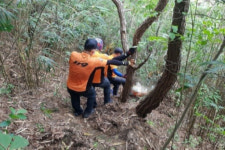뇌졸중 앓던 60대, 실종 1주일만에 야산서 숨진 채 발견