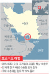 ‘뜨거운 바다’ 호르무즈해협…고심 깊은 정부 파병 저울질 [디펜스 포커스]