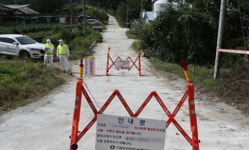 아프리카돼지열병 발병 돼지고기 경매가 33% 껑충…金겹살 될라 초긴장