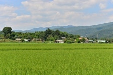 낮밤 길이 같아지는 ‘추분(秋分)’…무슨 뜻?