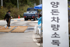 철원·연천 멧돼지 총기 동원 모두 잡는다 [주먹구구 ASF 멧돼지 예찰]