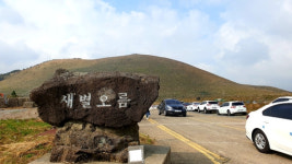 [최현태 기자의 여행홀릭] 가을의 속삭임... 갈대밭 갈까 억새 보러 갈까