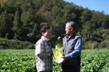 산지직송 농장 직거래로 믿을 수 있는 괴산절임배추 예약 판매 중