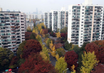 강남 4구 ·마용성 콕 집어 고강도 처방… 효과 있을까?