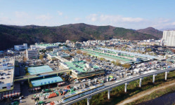 대구농수산물도매시장, 3년 연속 A등급 평가