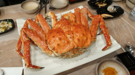 신선이 노닐었나… 천하절경 무릉계곡 트래킹 [최현태 기자의 여행홀릭]