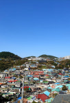 KTX 개통 묵호, 감성과 맛 자극 논골담길로 대변신 [최현태 기자의 여행홀릭]
