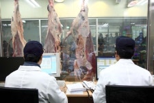 농협축산물공판장, 소 도축두수 30만두 최초 달성