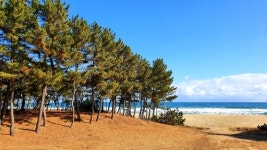 겨울바다 그 쓸쓸함과 낭만에 대하여 [최현태 기자의 여행홀릭]