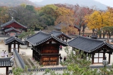 “코로나19 때문에…” 관람객 급감한 전주한옥마을 경기전 입장료 ‘반값 할인’