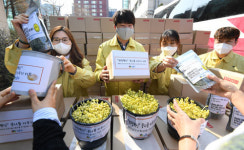 “콩나물 키우며 마음 달래세요”