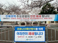 “오지 말래도 꾸역꾸역…” 관광객 고집에 진해 등 출입 전면통제
