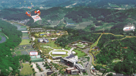 천년의 숲서 맞춤형 항노화 체험… 세계 최고 힐링 메카 꿈꾸다