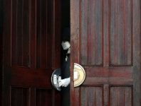 수도권 뚫리면 폭증 위험…“‘사회적 거리두기’ 참여 절실”